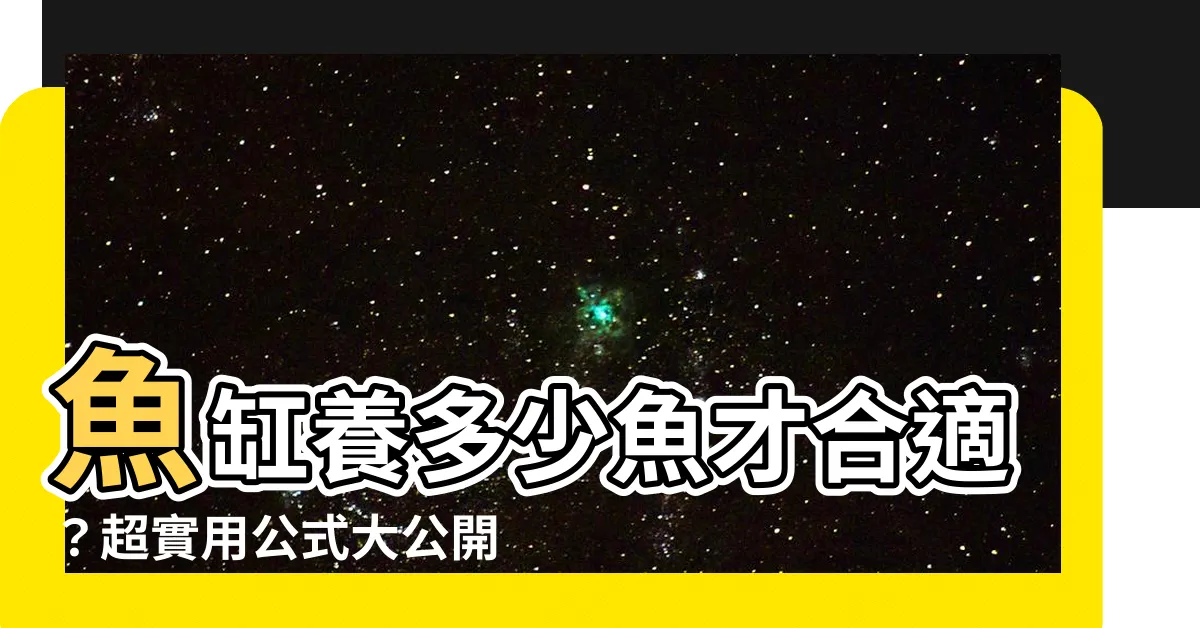 【一個魚缸可以養幾隻魚】魚缸養多少魚才合適？超實用公式大公開，輕鬆判斷魚缸容量！