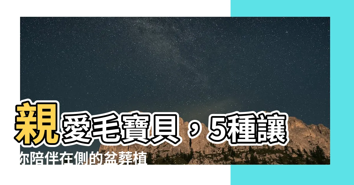 【適合盆葬的植物】親愛毛寶貝，5種讓你陪伴在側的盆葬植物