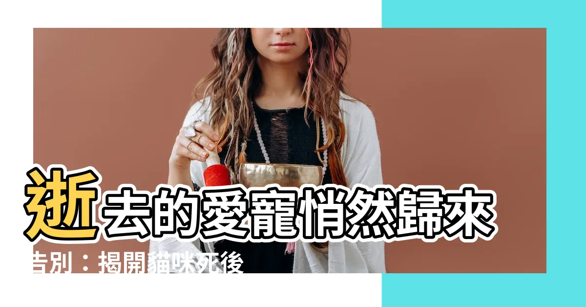 【貓咪死掉會回來嗎】逝去的愛寵悄然歸來告別：揭開貓咪死後「回魂」的秘密