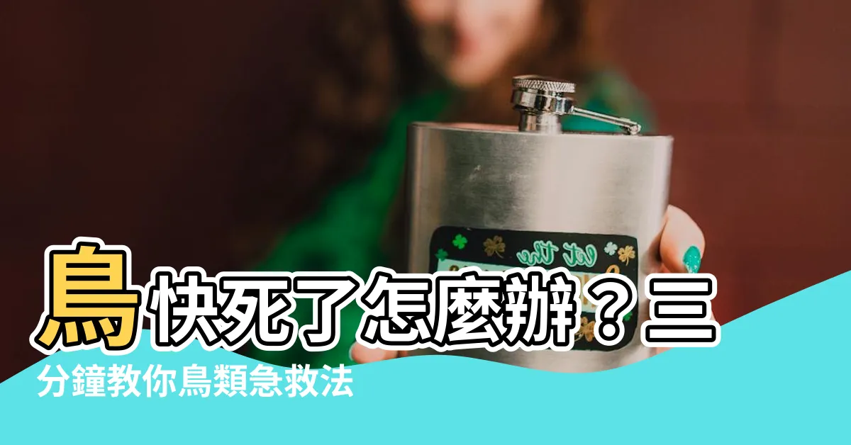 【鳥快死了怎麼辦】鳥快死了怎麼辦？三分鐘教你鳥類急救法，拯救鳥寶生命！