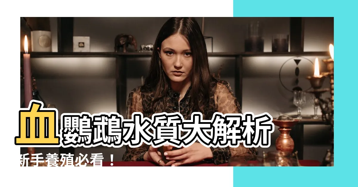 【血鸚鵡水質】血鸚鵡水質大解析 新手養殖必看！