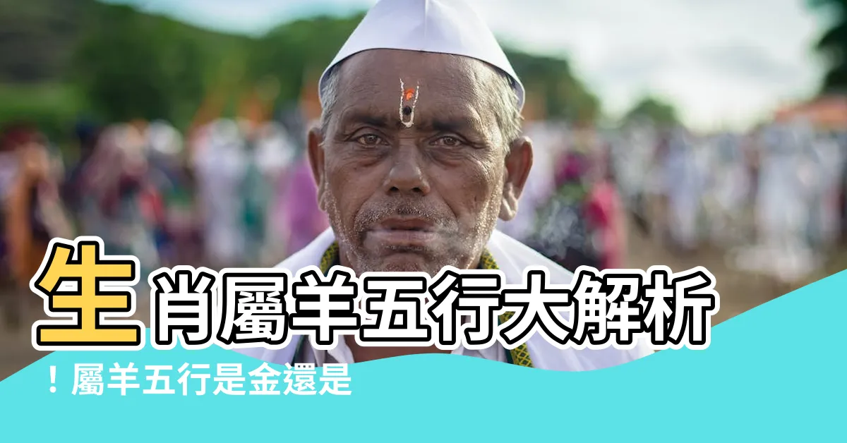 【生肖屬羊 五行】生肖屬羊五行大解析！屬羊五行是金還是火？五行缺什麼一次看懂