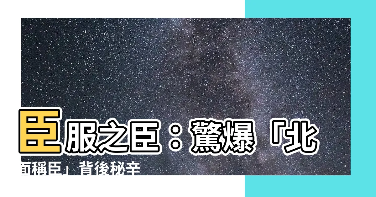 【北面稱臣】臣服之臣：驚爆「北面稱臣」背後秘辛