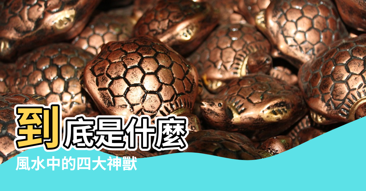 【風水青龍白虎朱雀玄武位置】到底是什麼 |風水中的四大神獸 |到底在哪裡 |