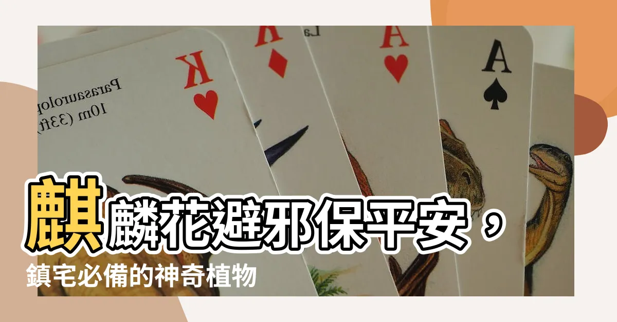【麒麟花避邪】麒麟花避邪保平安，鎮宅必備的神奇植物！