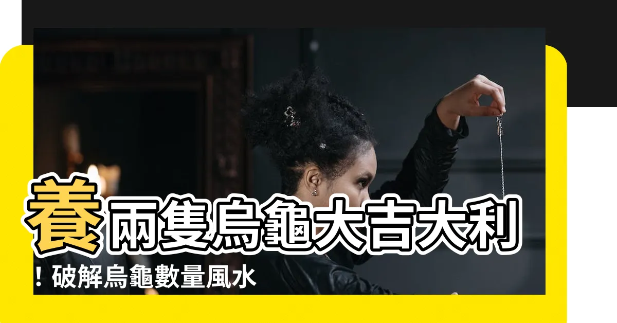【養兩隻烏龜】養兩隻烏龜大吉大利！破解烏龜數量風水迷思