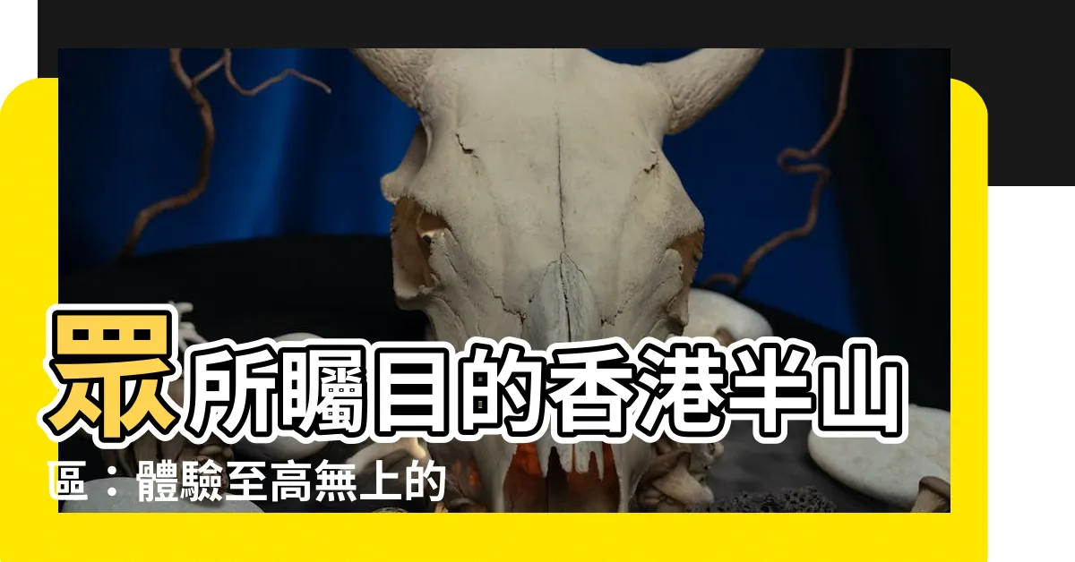 【香港半山區】眾所矚目的香港半山區：體驗至高無上的都市生活