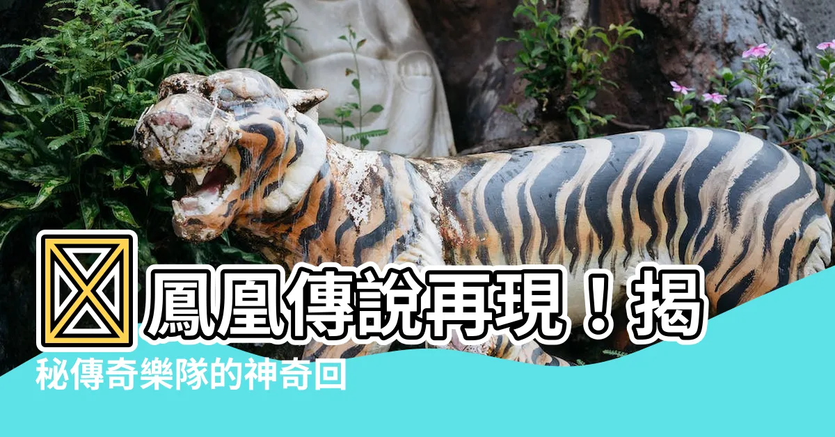 【鳳凰傳説】🔥鳳凰傳説再現！揭秘傳奇樂隊的神奇回歸之旅