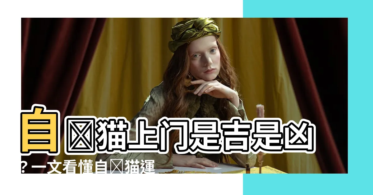 【自來貓好不好】自來貓上門是吉是兇？一文看懂自來貓運勢解析