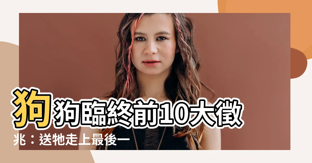 【狗狗死掉】狗狗臨終前10大徵兆：送牠走上最後一程