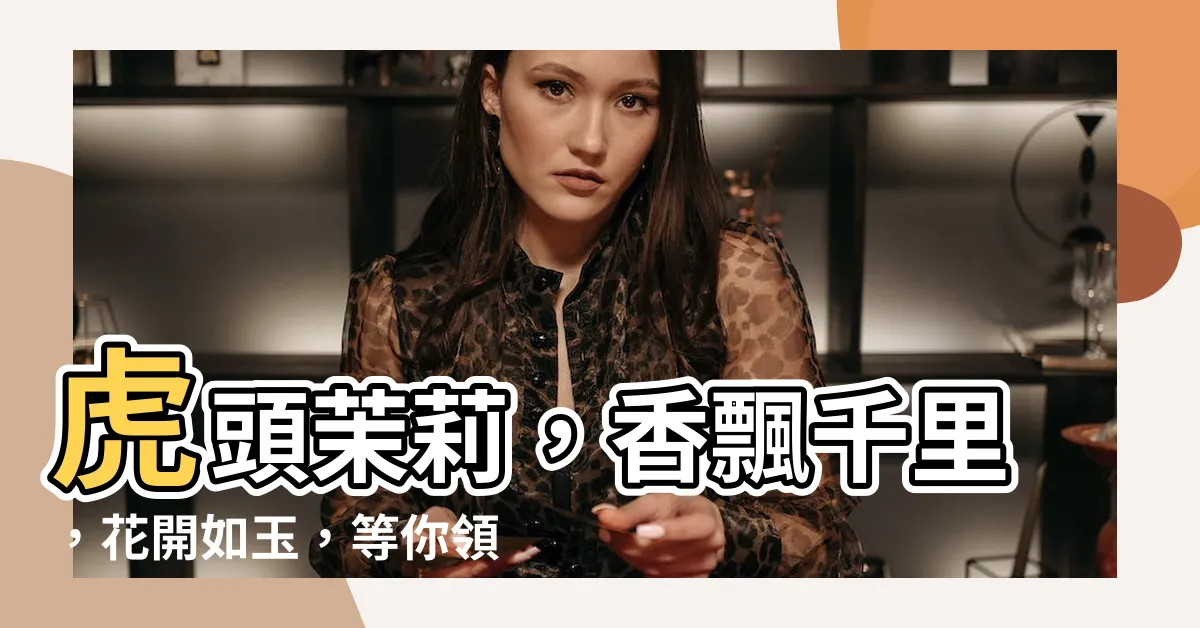 【虎頭苿莉】虎頭茉莉，香飄千里，花開如玉，等你領養！