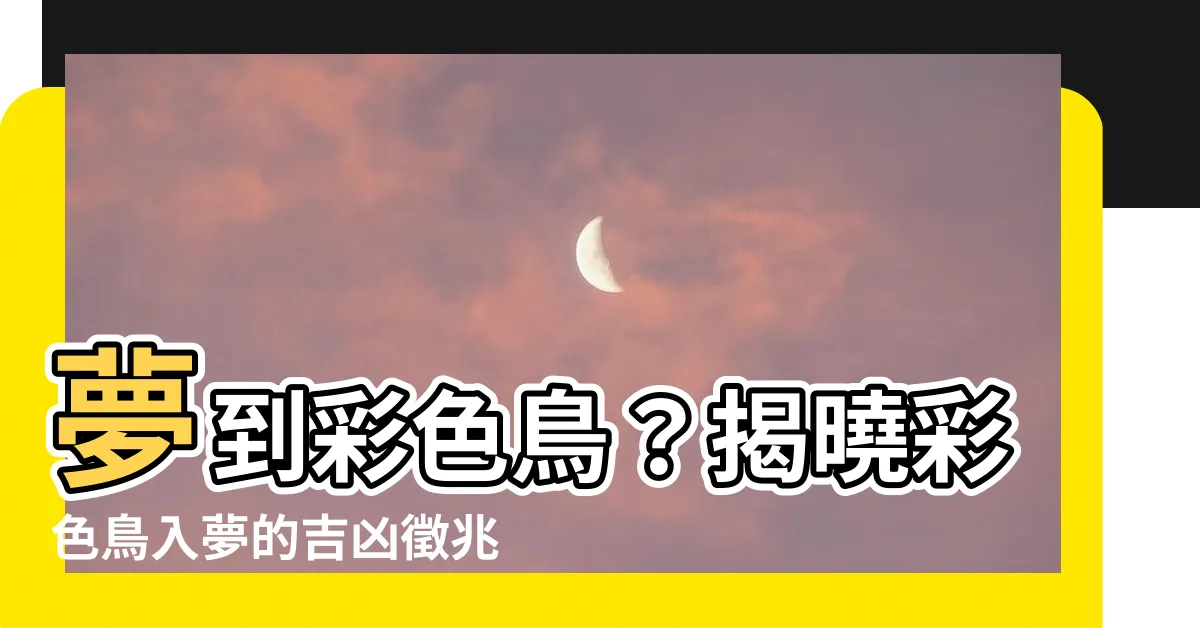 【夢到彩色鳥】夢到彩色鳥？揭曉彩色鳥入夢的吉凶徵兆