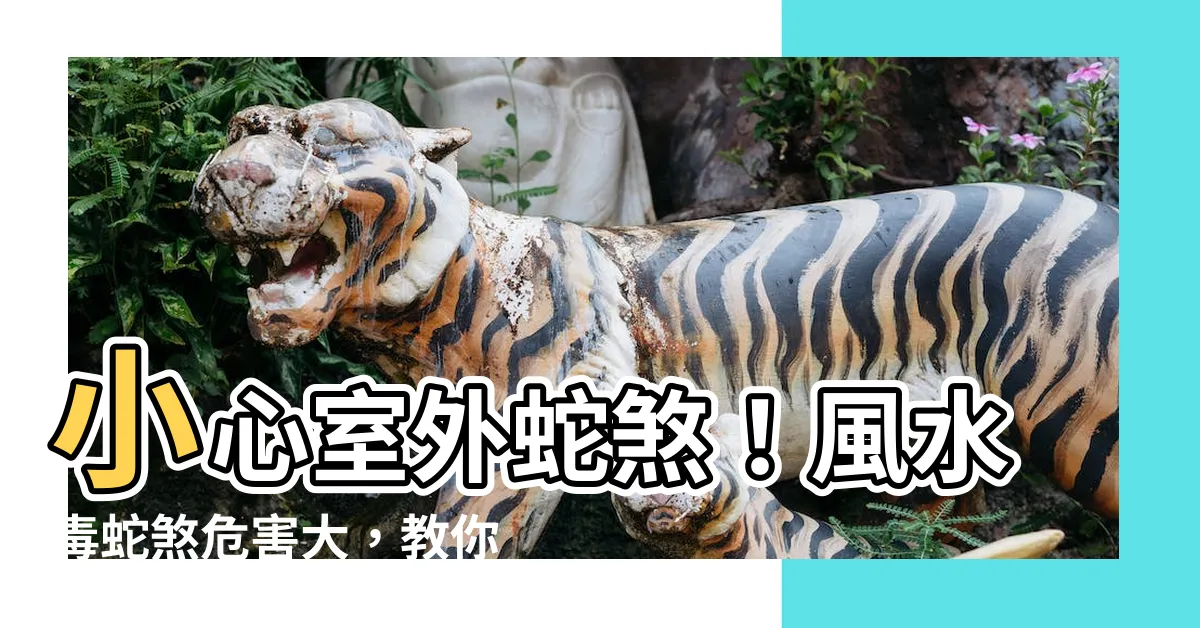 【室外蛇煞】小心室外蛇煞！風水毒蛇煞危害大，教你輕鬆化解