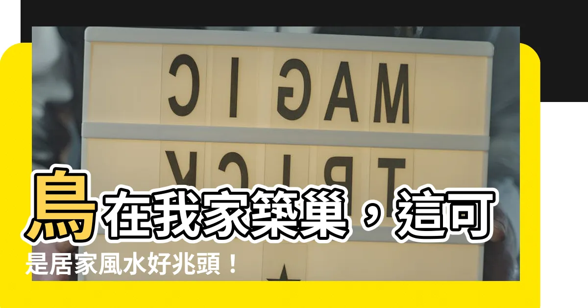 【鳥在我家築巢】鳥在我家築巢，這可是居家風水好兆頭！