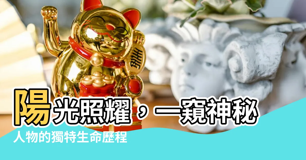 【陽光照】陽光照耀，一窺神秘人物的獨特生命歷程