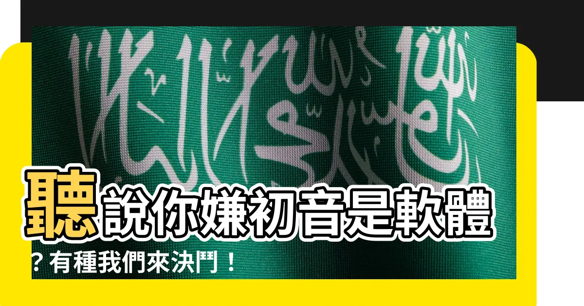 【你叫誰軟體】聽説你嫌初音是軟體？有種我們來決鬥！
