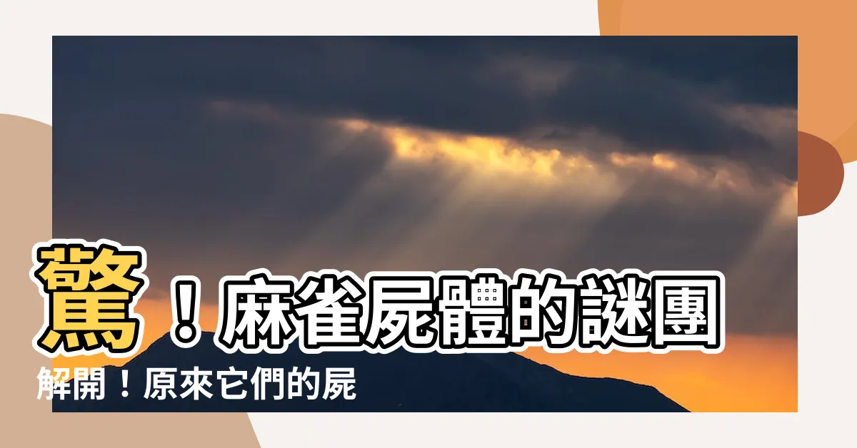 【死麻雀】驚！麻雀屍體的謎團解開！原來它們的屍體藏身於...