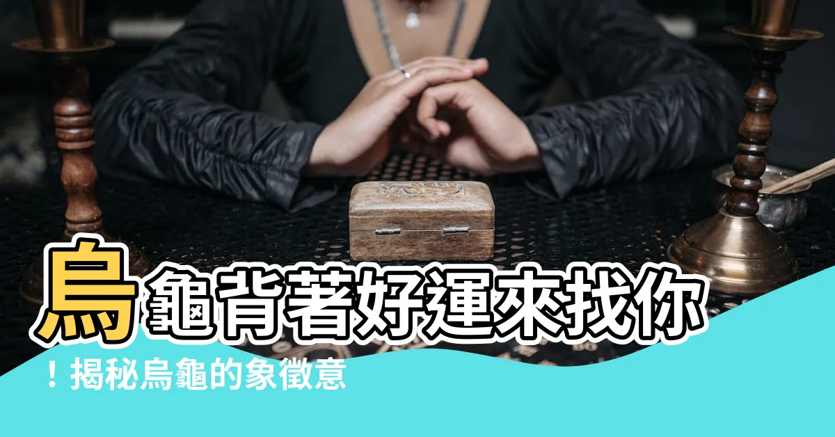 【烏龜代表什麼】烏龜背著好運來找你！揭秘烏龜的象徵意義