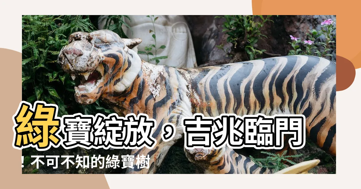 【寶樹開花】綠寶綻放，吉兆臨門！不可不知的綠寶樹開花預兆