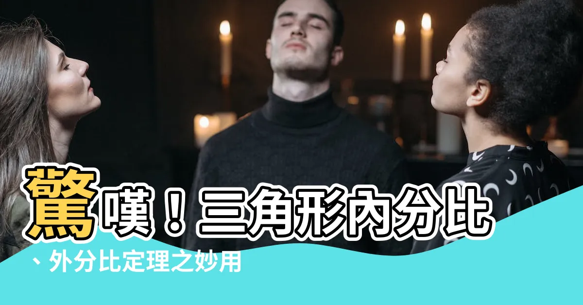 【內分比 外分比】驚嘆！三角形內分比、外分比定理之妙用