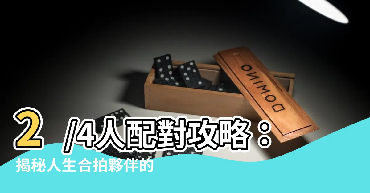 【2/4人配對】2/4人配對攻略：揭秘人生合拍夥伴的獨特魅力