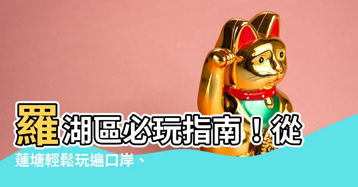 【蓮塘去羅湖】羅湖區必玩指南！從蓮塘輕鬆玩遍口岸、商業城，交通攻略全攻略