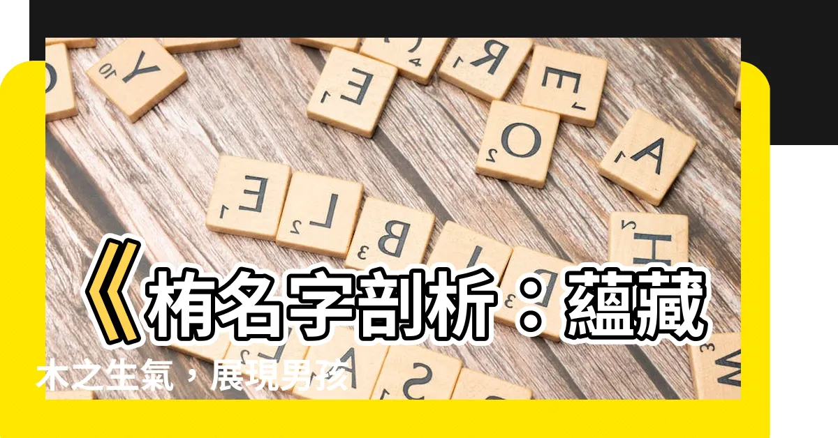 【栯名字】《栯名字剖析：藴藏木之生氣，展現男孩氣宇軒昂》