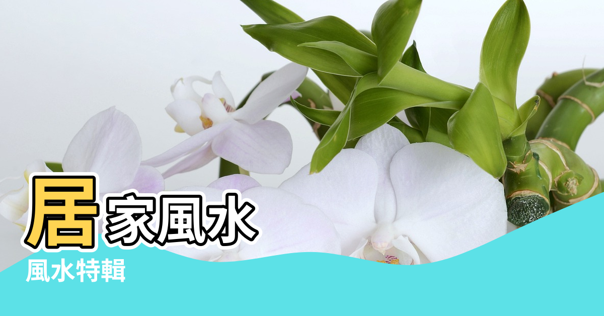 【畫的風水】居家風水 |風水特輯 |客廳掛畫挑選一次就上手 |
