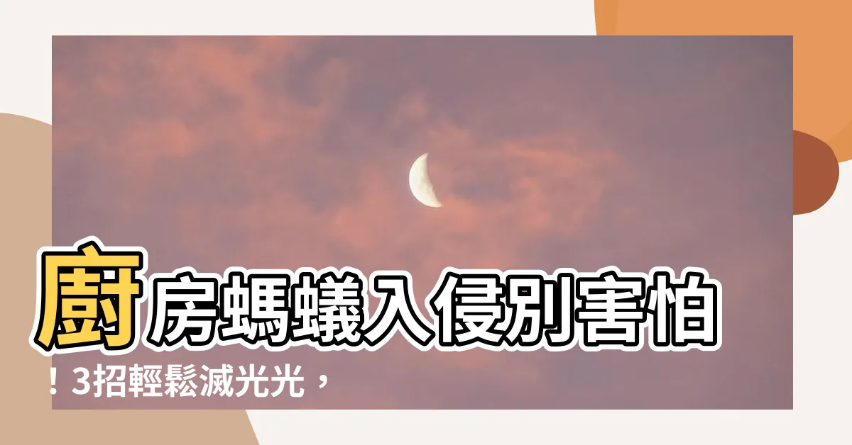 【廚房螞蟻】廚房螞蟻入侵別害怕！3招輕鬆滅光光，省時又省力！