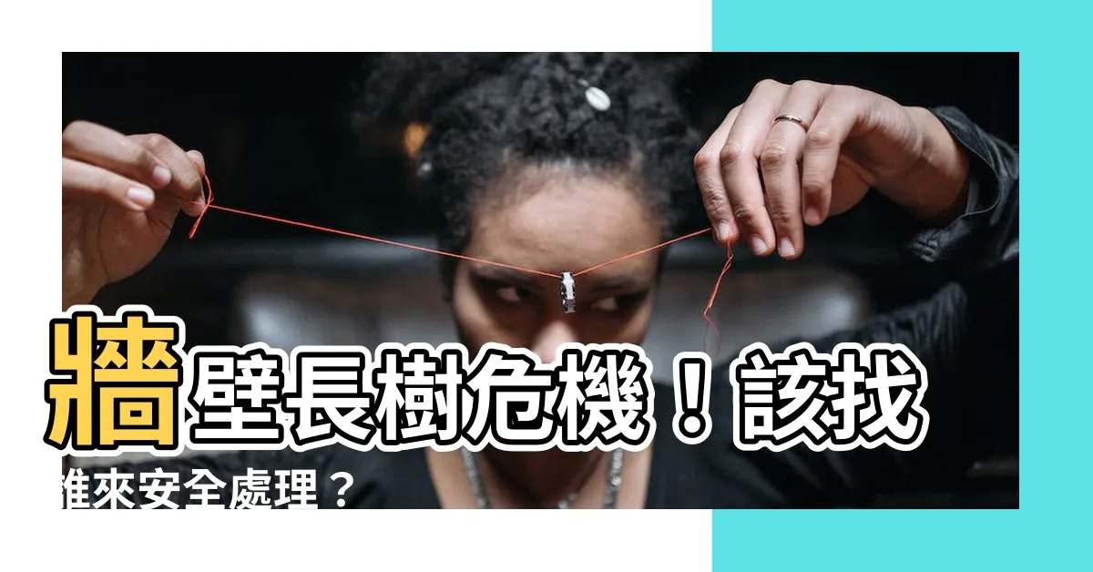 【牆壁長樹處理】牆壁長樹危機！該找誰來安全處理？