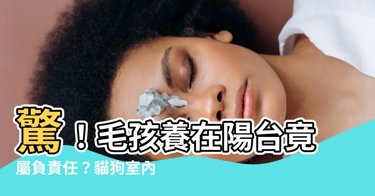 【狗養在陽台】驚！毛孩養在陽台竟屬負責任？貓狗室內飼養的迷思