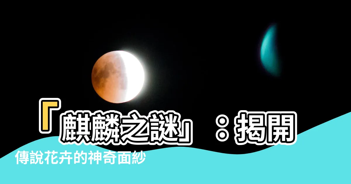 【麒麟花】「麒麟之謎」：揭開傳説花卉的神奇面紗