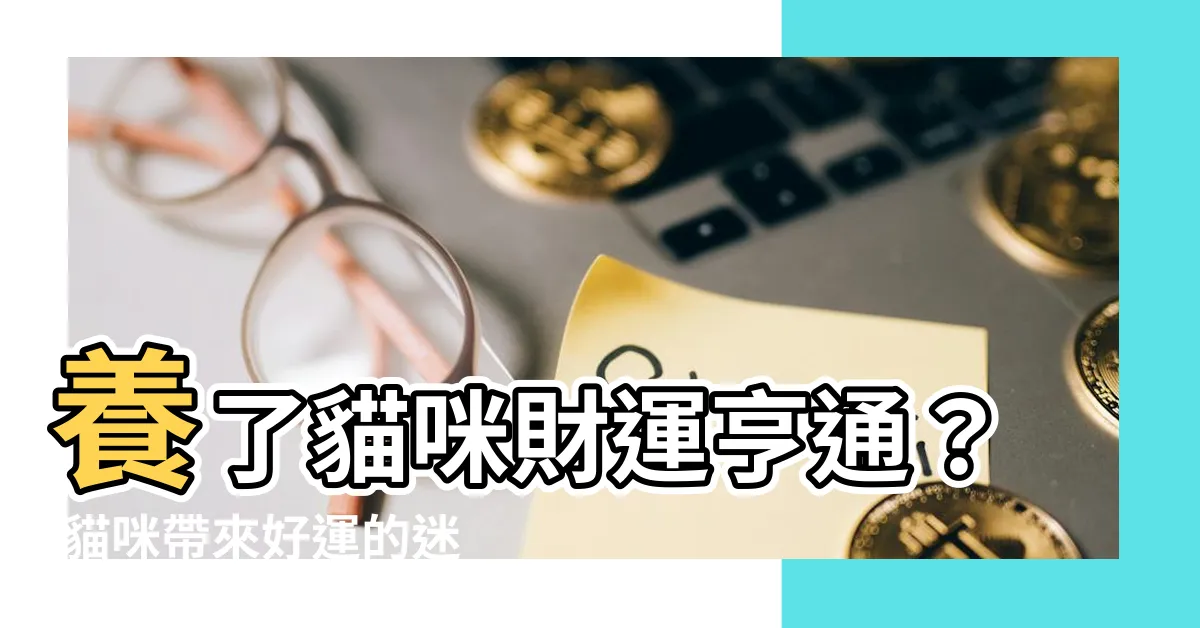 【貓會帶來好運嗎】養了貓咪財運亨通？ 貓咪帶來好運的迷思大公開！