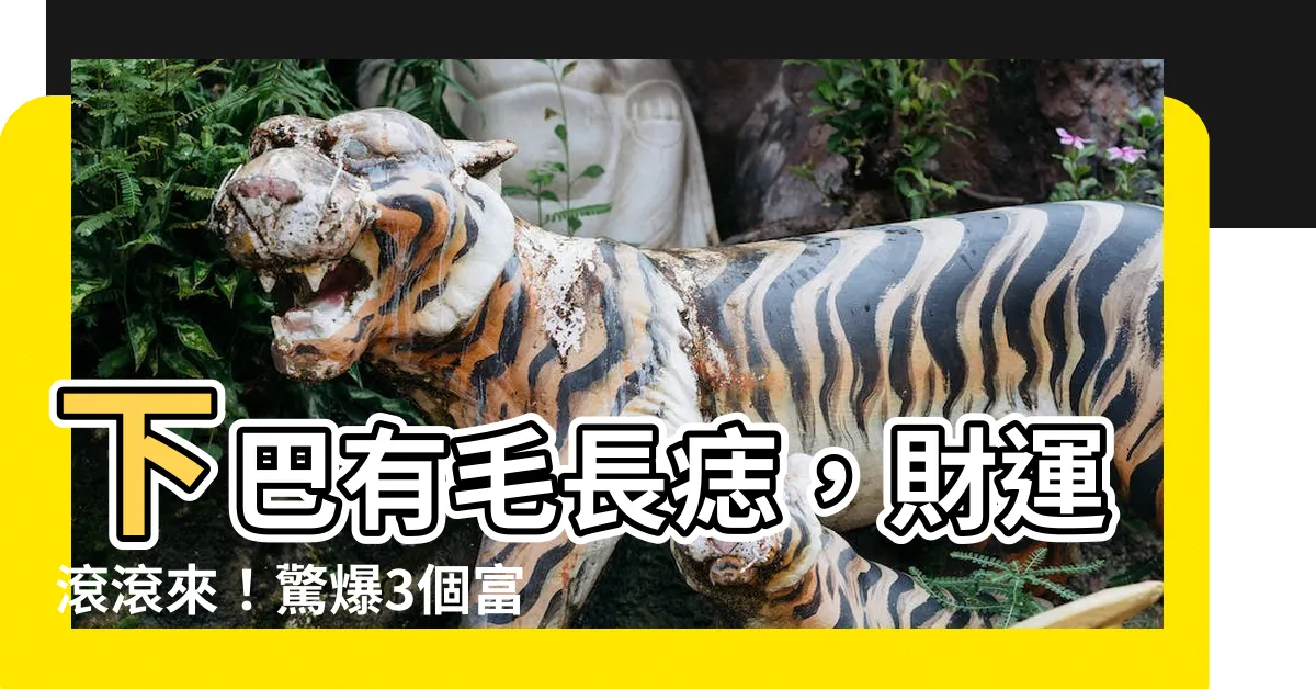 【下巴有痣長毛】下巴有毛長痣，財運滾滾來！驚爆3個富貴痣相