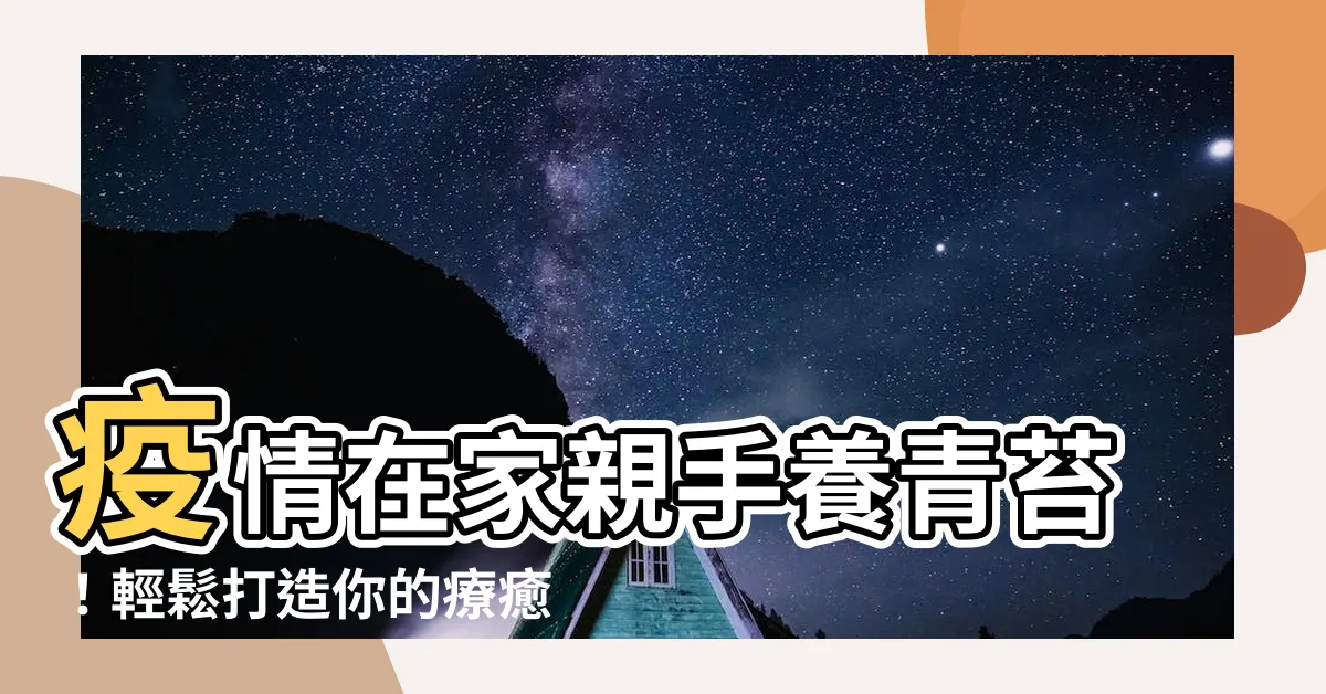 【青苔養殖】疫情在家親手養青苔！輕鬆打造你的療癒小天地