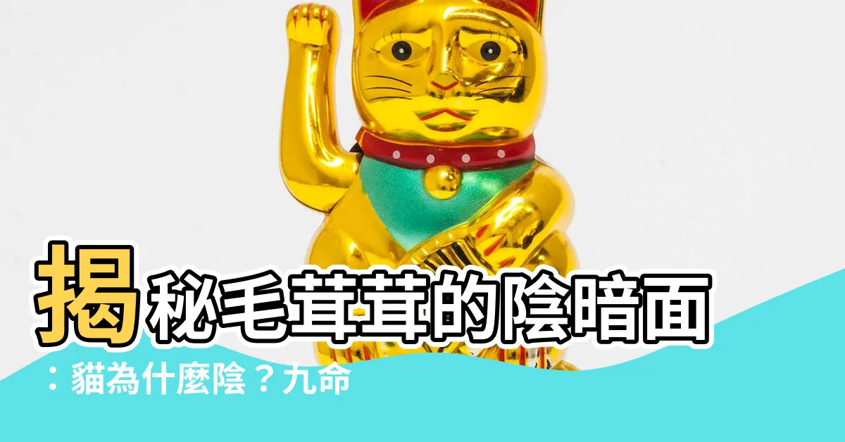【貓為什麼陰】揭秘毛茸茸的陰暗面：貓為什麼陰？九命之謎大起底！