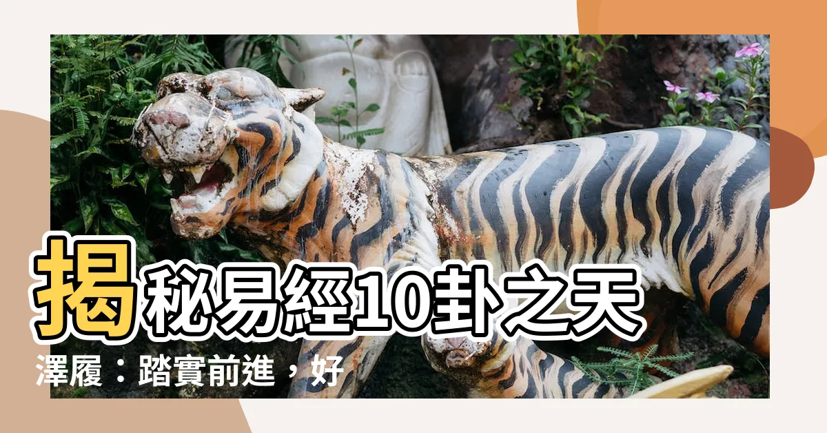 【易經10卦】揭秘易經10卦之天澤履：踏實前進，好運相隨！
