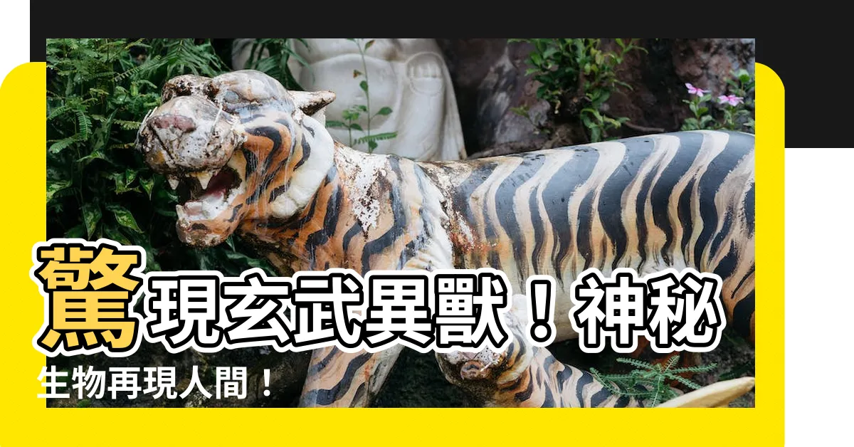 【玄武獸】驚現玄武異獸！神秘生物再現人間！