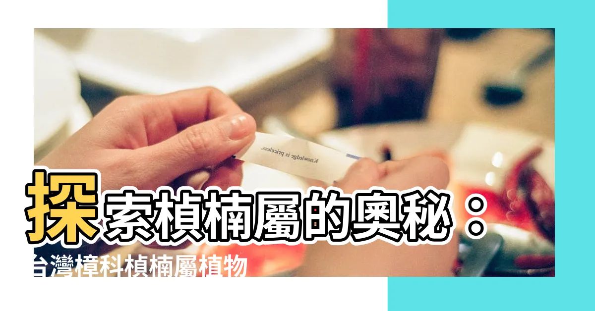 【楨楠屬】探索楨楠屬的奧秘：台灣樟科楨楠屬植物的系統分類剖析