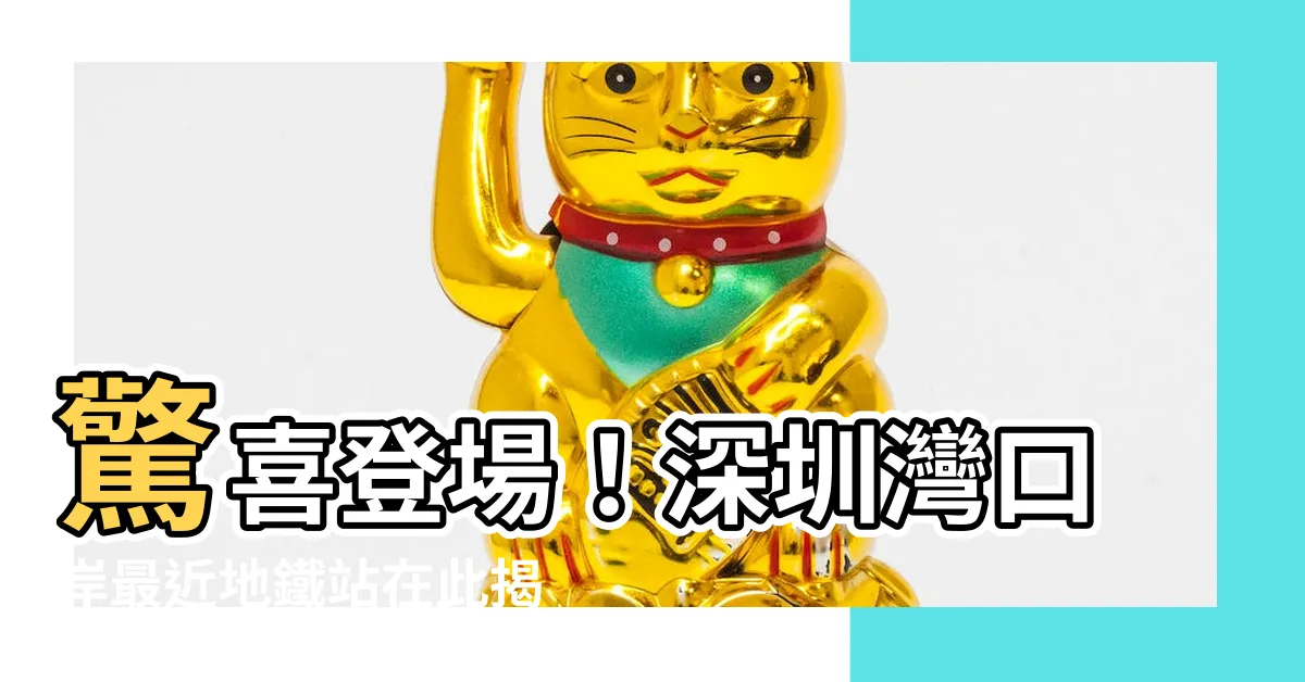 【深圳灣口岸最近地鐵站】驚喜登場！深圳灣口岸最近地鐵站在此揭曉，出行更便利