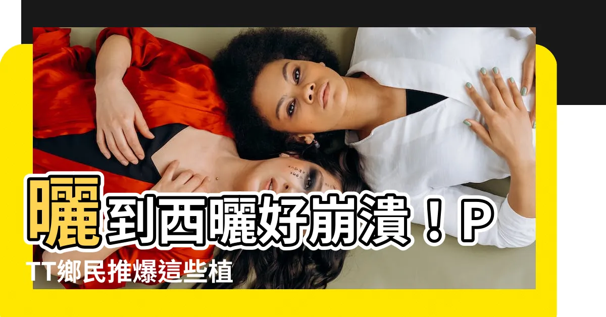 【西曬陽台植物ptt】曬到西曬好崩潰！PTT鄉民推爆這些植物拯救西曬陽台
