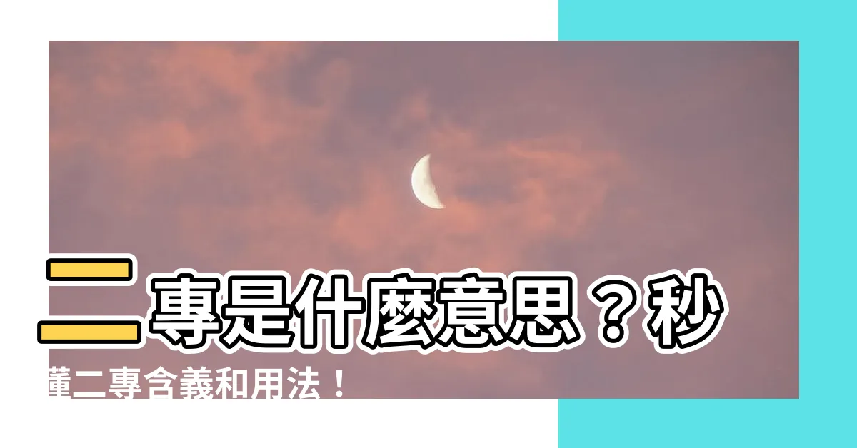 【二專是什麼意思】二專是什麼意思？秒懂二專含義和用法！