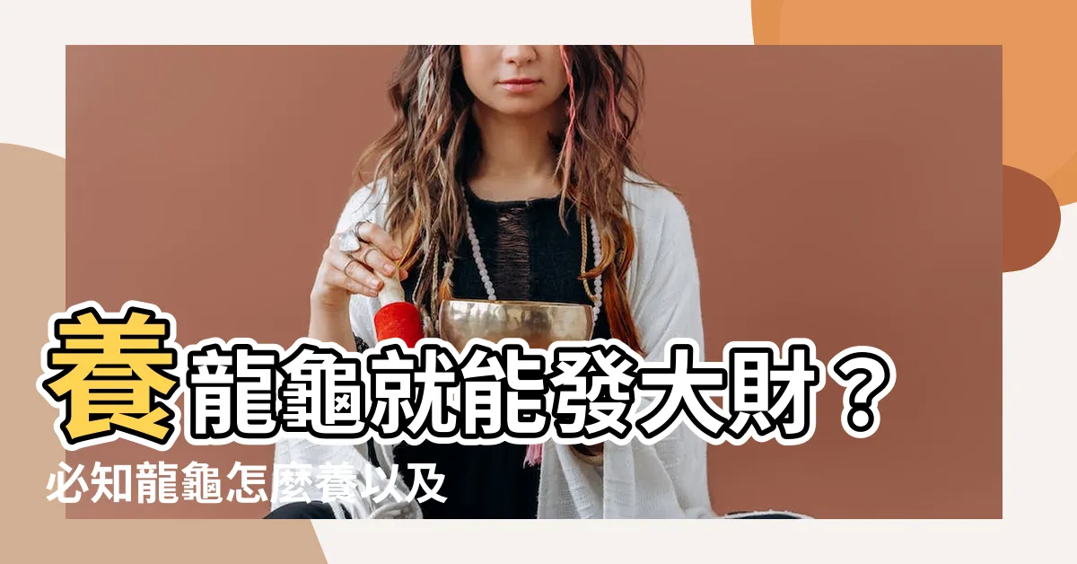 【龍龜怎麼養】養龍龜就能發大財？必知龍龜怎麼養以及禁忌！