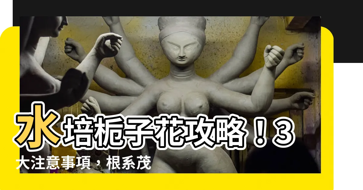 【梔子花水培】水培梔子花攻略！3大注意事項，根系茂盛爆盆