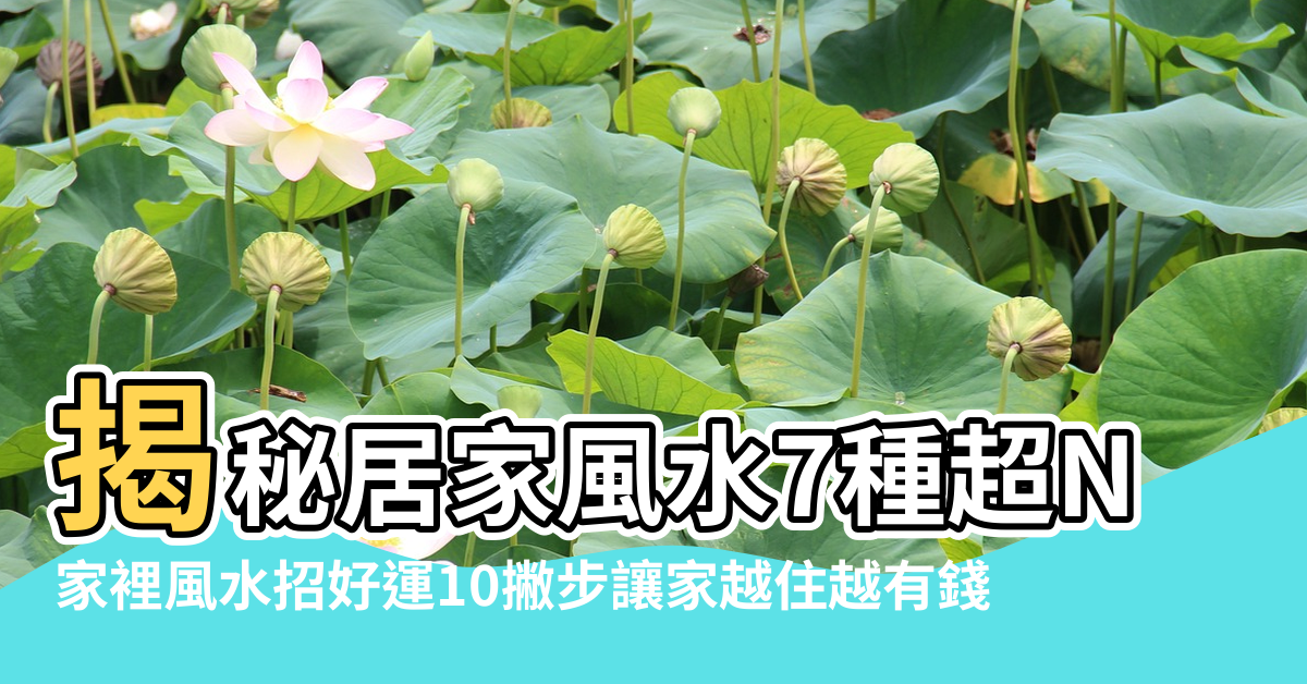 【屋裡怎麼風水好】揭秘居家風水7種超NG格局 |家裡風水招好運10撇步讓家越住越有錢 |住宅風水越住運越旺 |