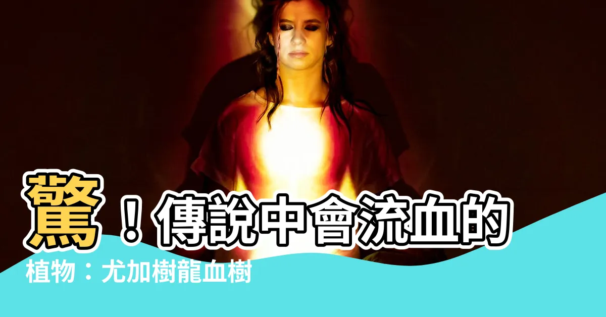 【尤加樹龍血樹】驚！傳説中會流血的植物：尤加樹龍血樹，新手必看養護指南！