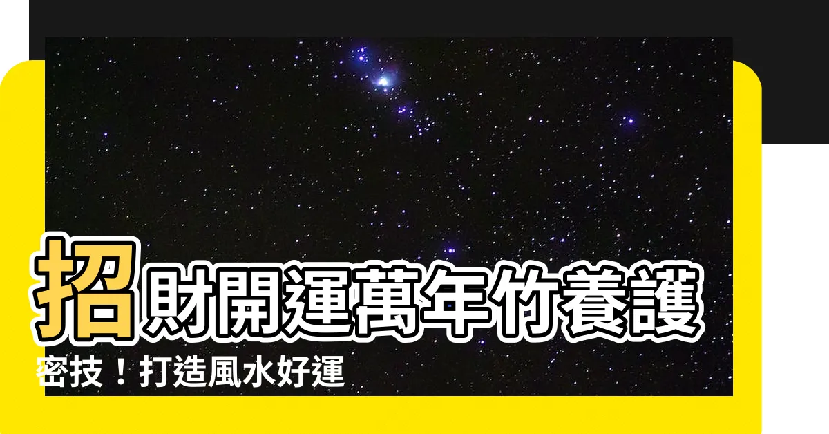 【萬年竹照顧】招財開運萬年竹養護密技！打造風水好運到
