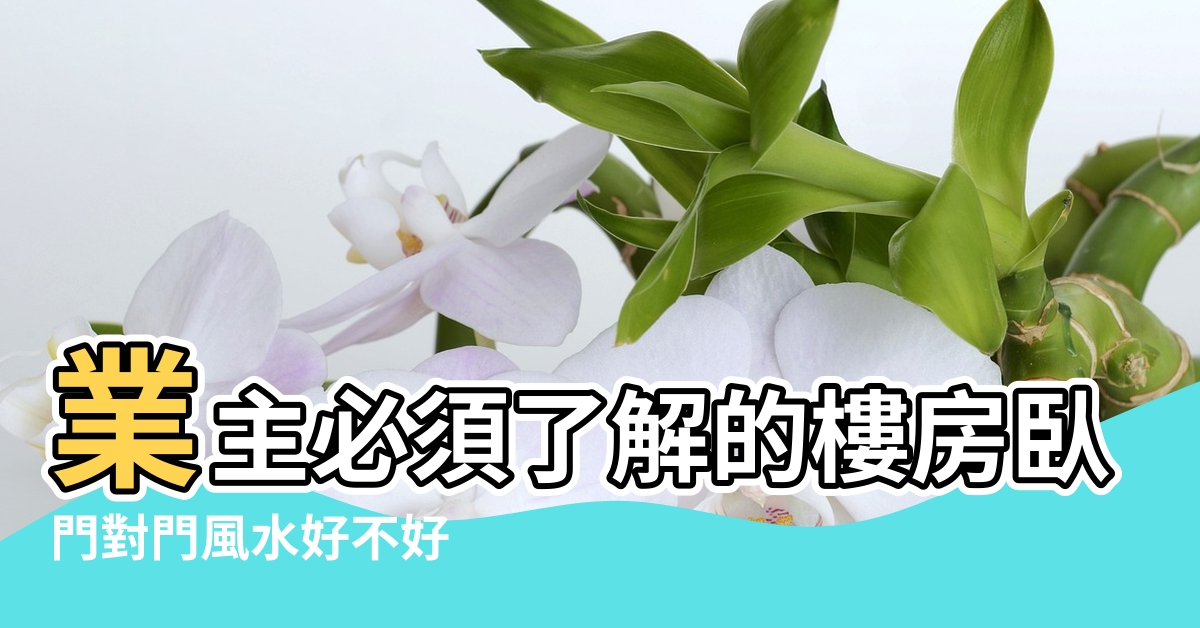 【樓房對門風水】業主必須了解的樓房臥室門對門風水禁忌 |門對門風水好不好 |臥室門對門風水 |