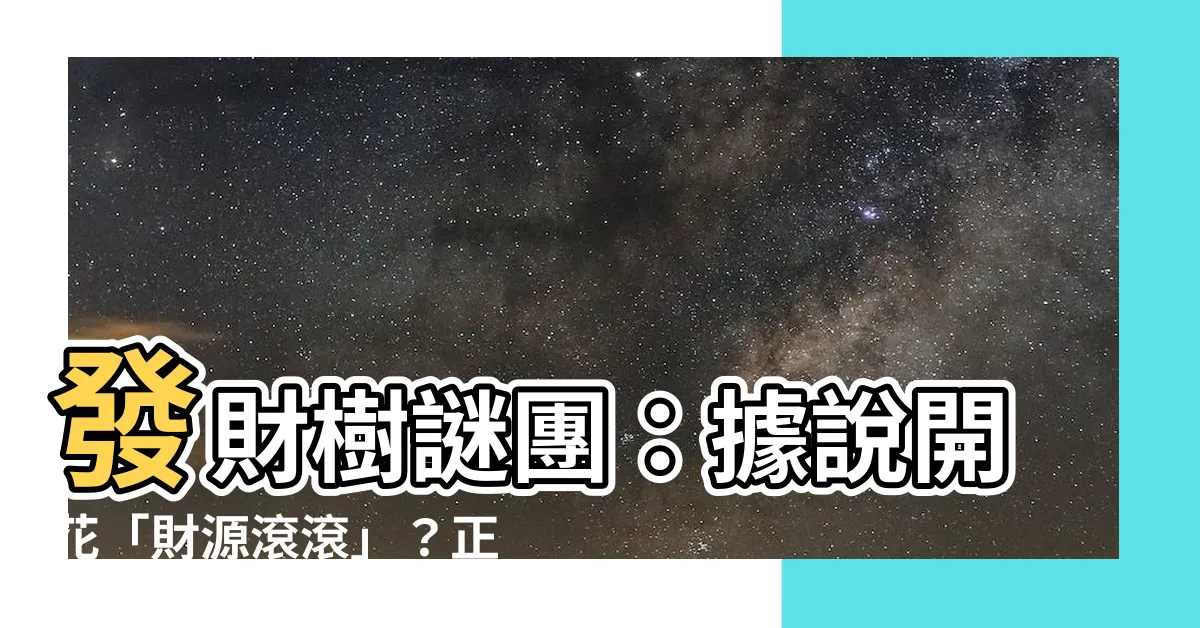 【發財樹會開花嗎】發財樹謎團：據説開花「財源滾滾」？正★確答案揭曉！