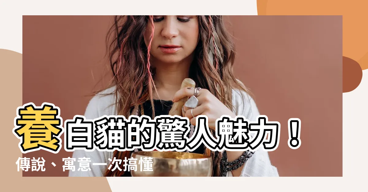 【養白貓】養白貓的驚人魅力！傳説、寓意一次搞懂！